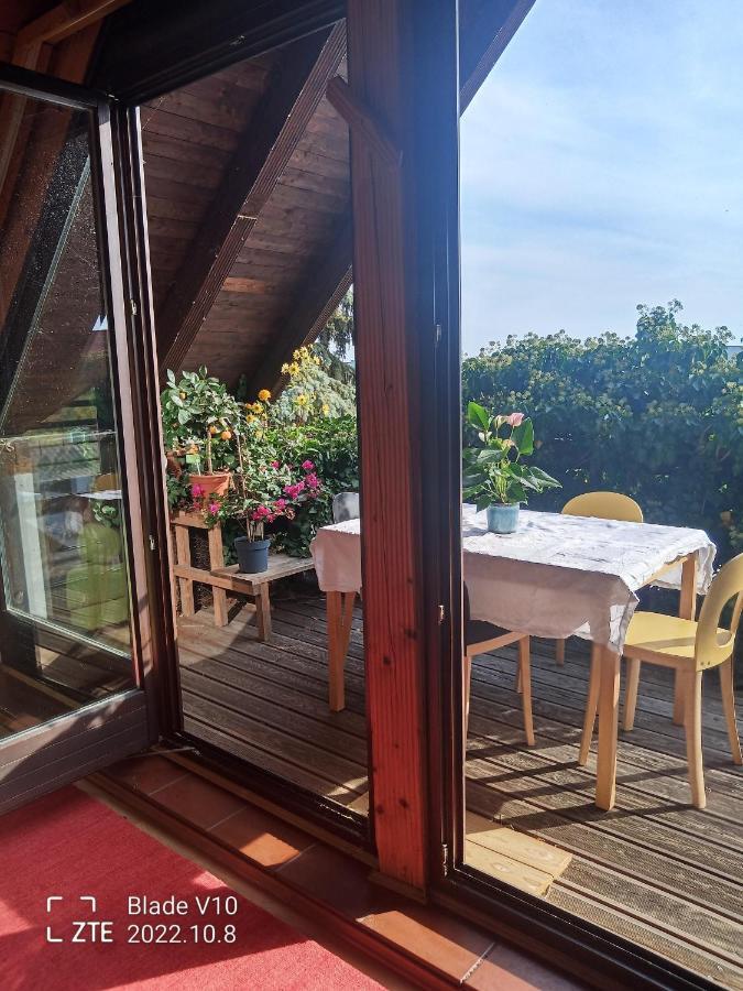 Ferienwohnung Zur Kirschblute Purbach am Neusiedlersee Eksteriør billede