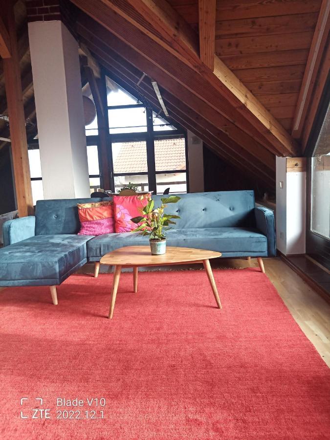 Ferienwohnung Zur Kirschblute Purbach am Neusiedlersee Eksteriør billede