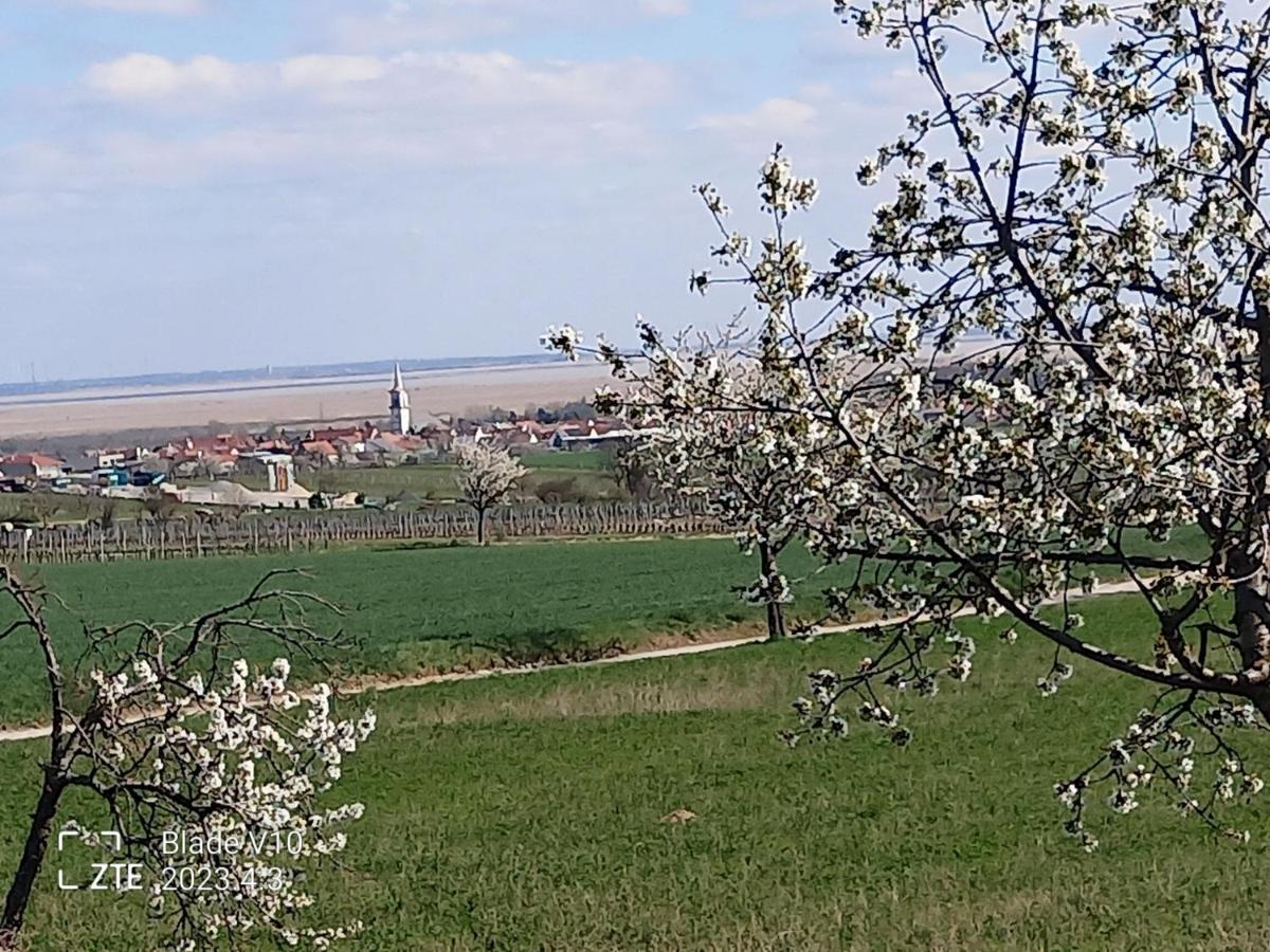 Ferienwohnung Zur Kirschblute Purbach am Neusiedlersee Eksteriør billede